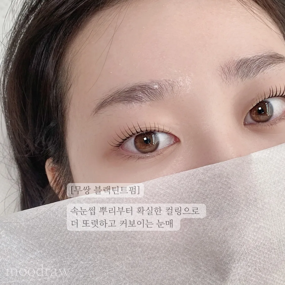 이미지 7