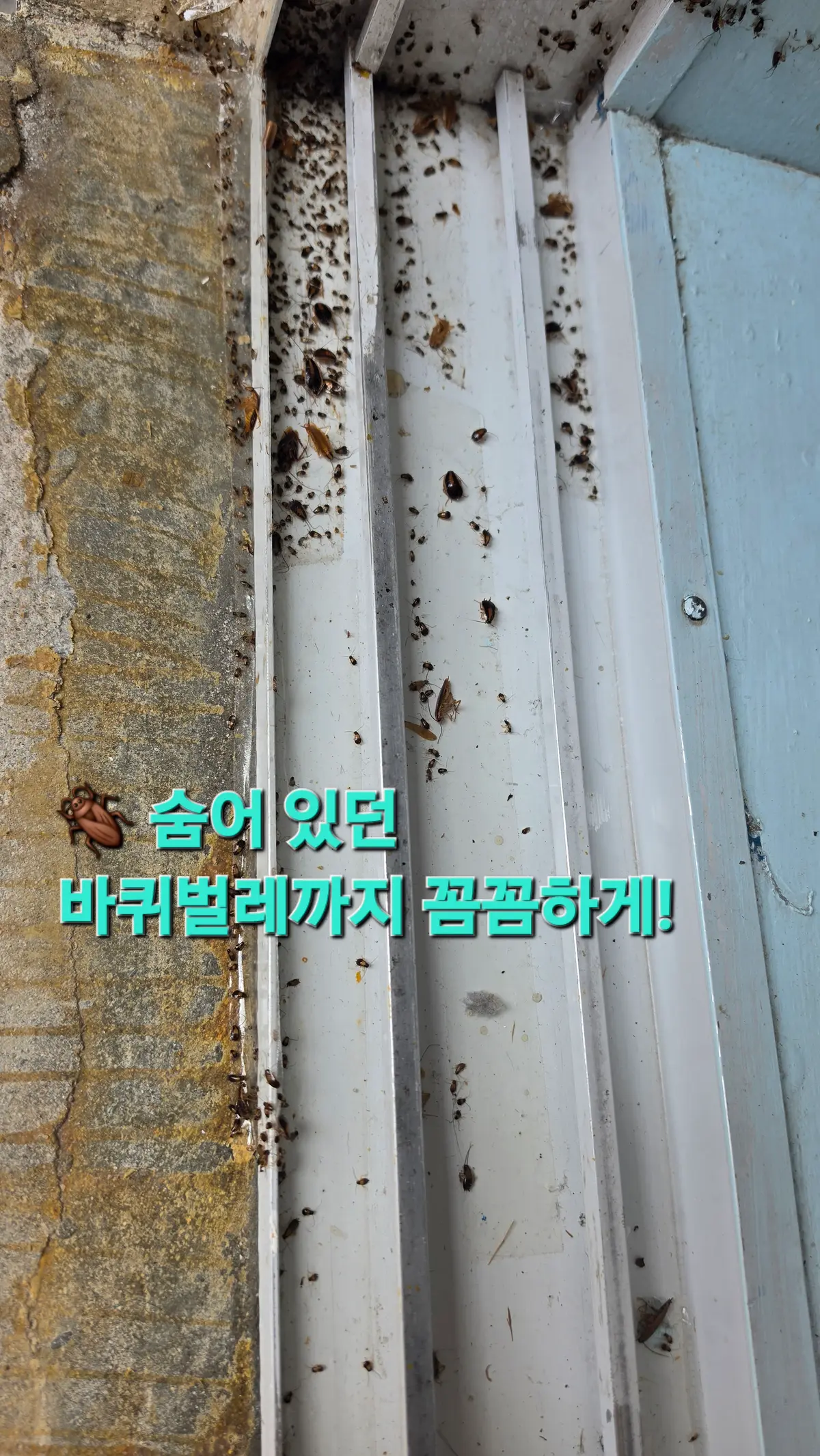 이미지 20