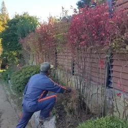 정원식재작업