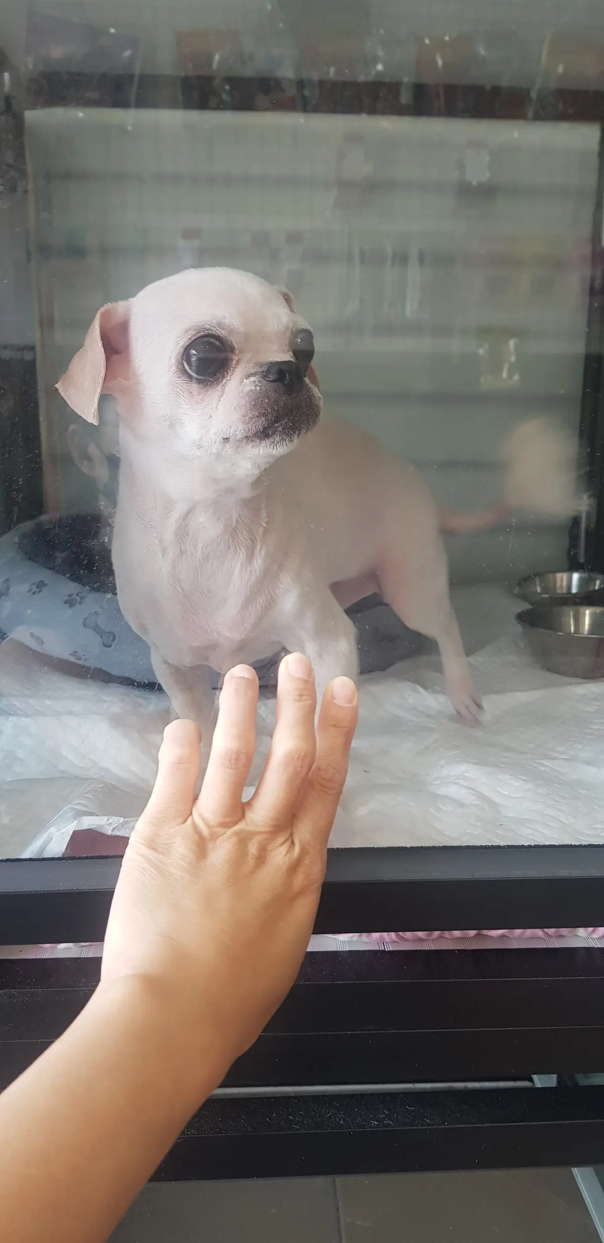 이미지 6