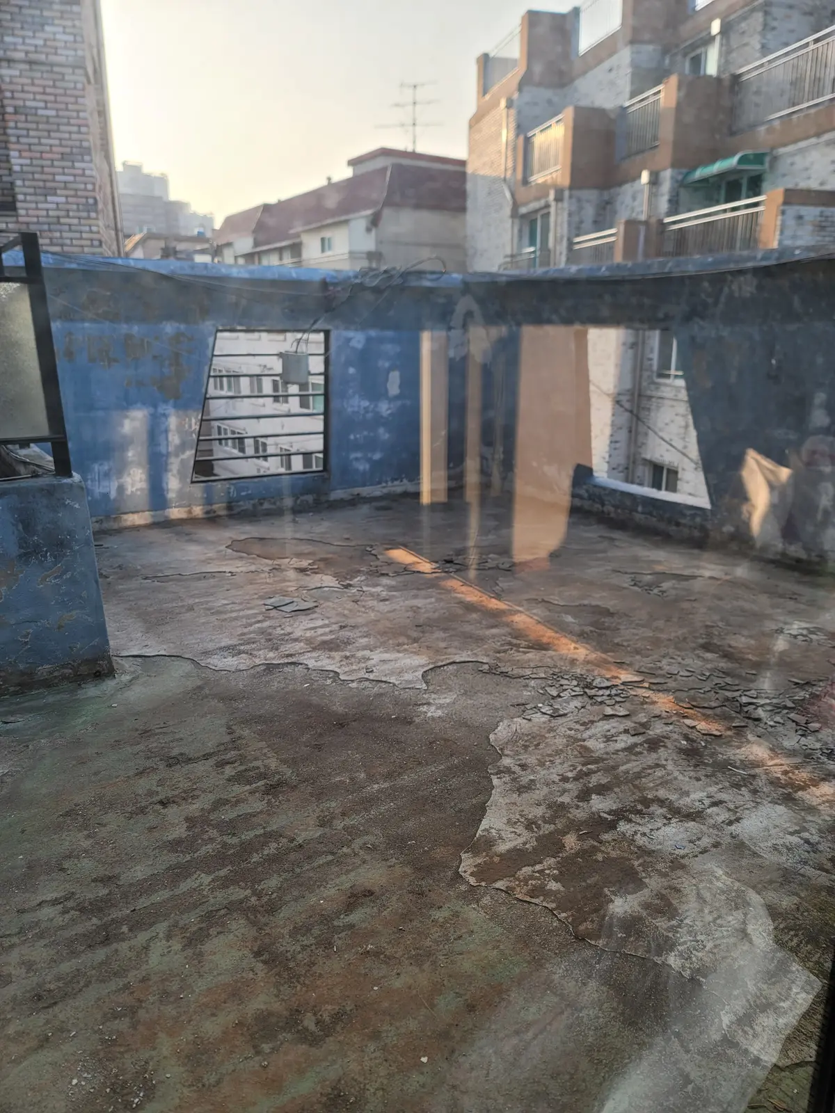 이미지 2