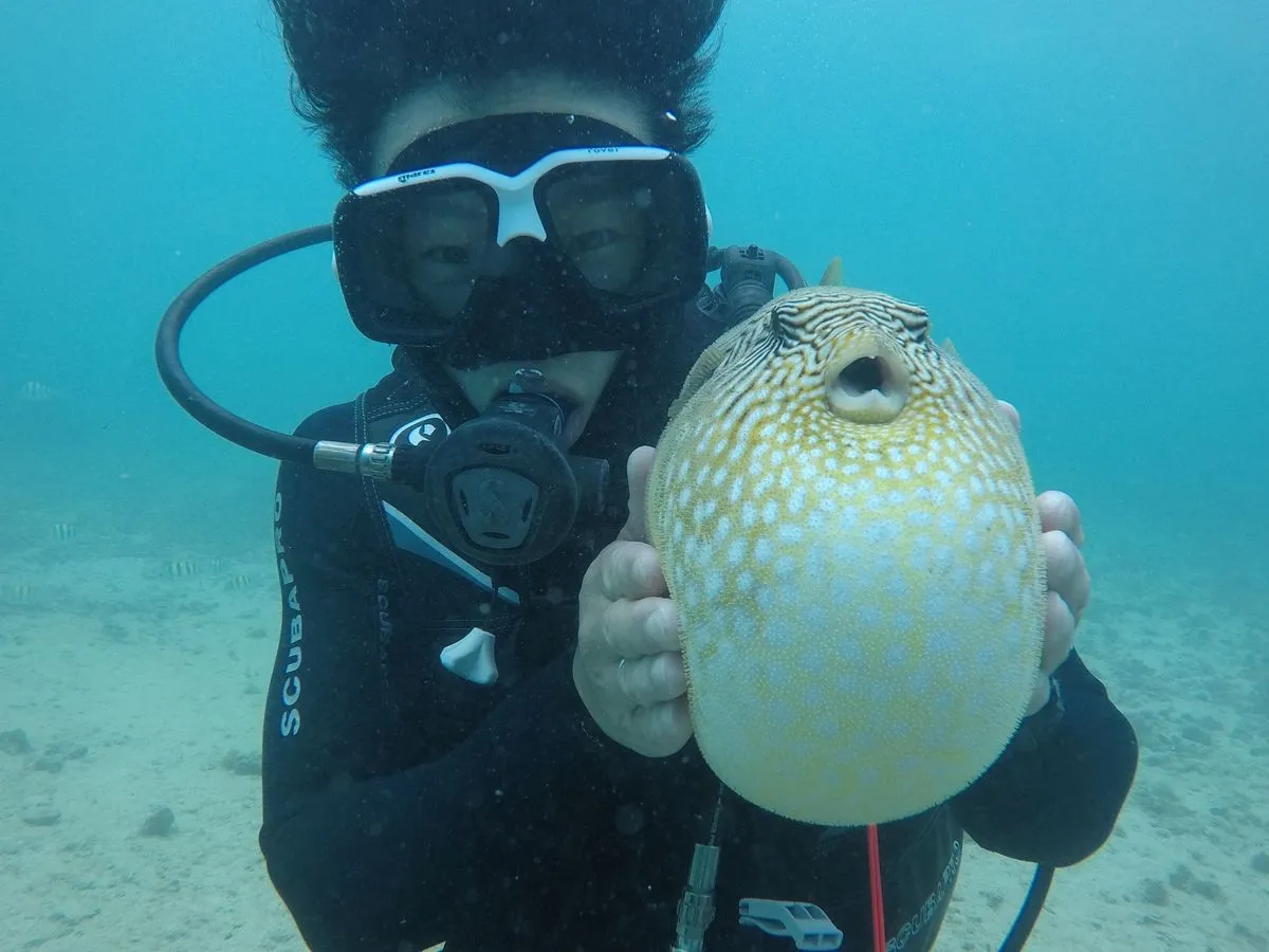 포트폴리오 이미지