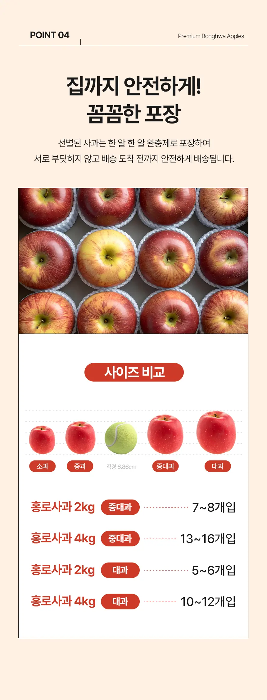 이미지 14