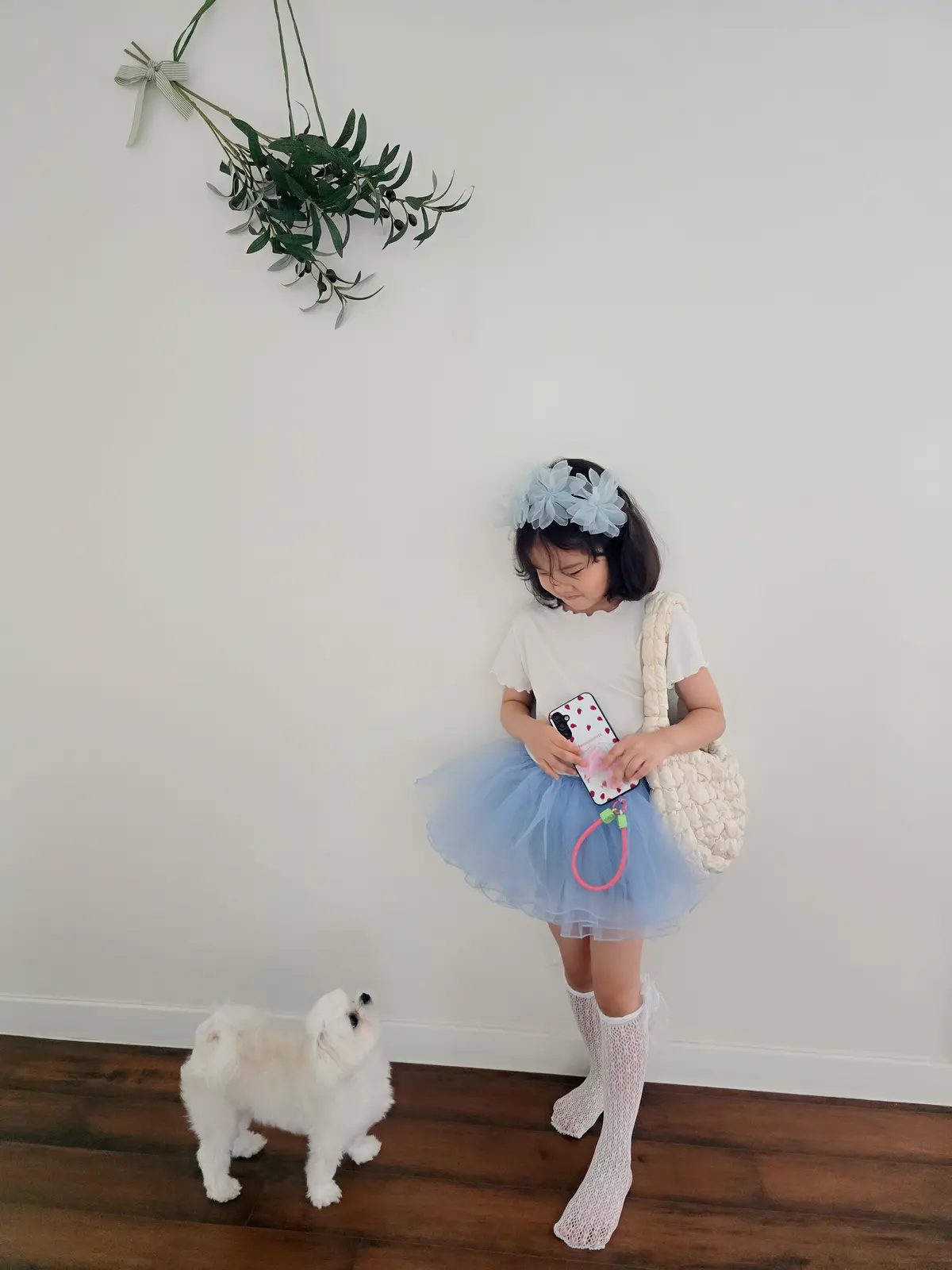 이미지 5