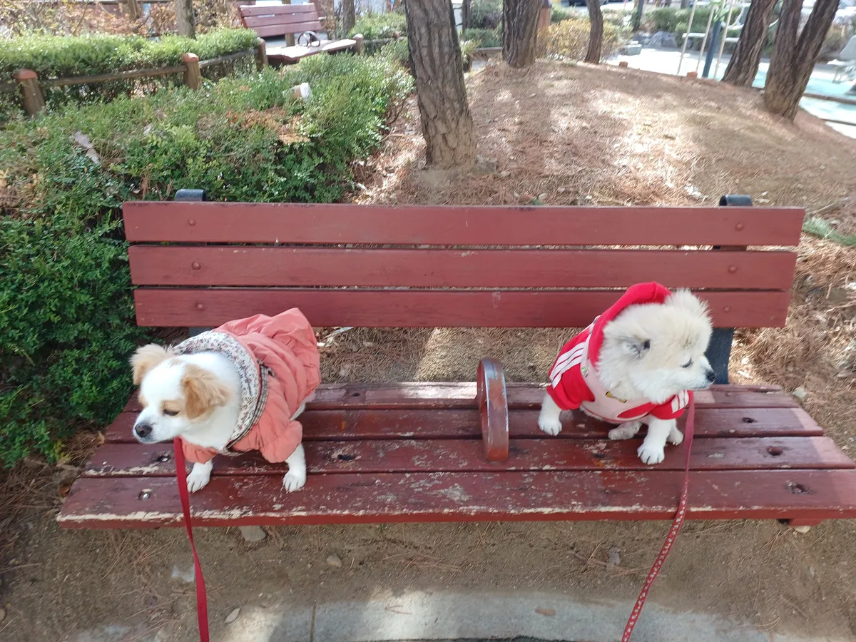 이미지 9