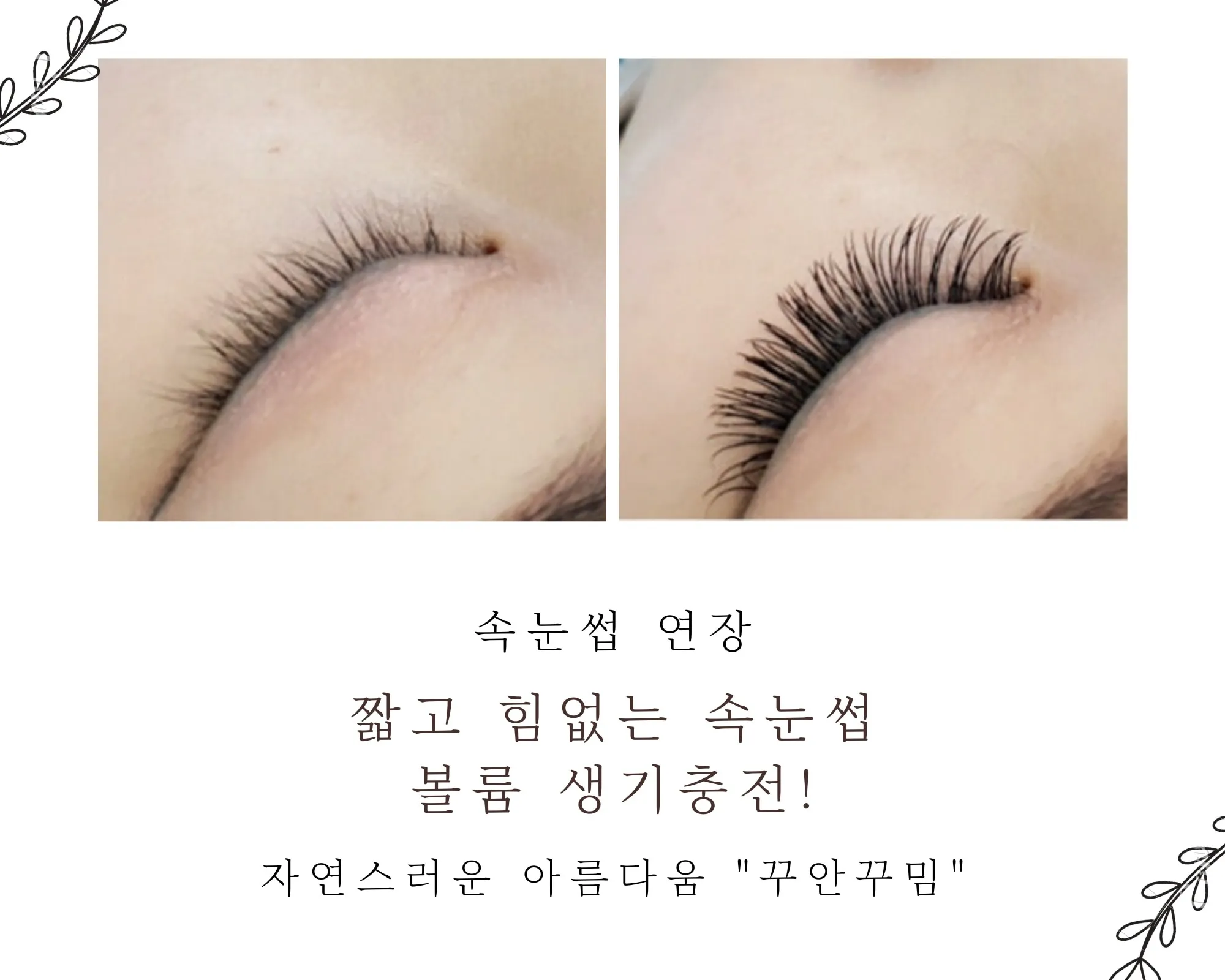 이미지 7