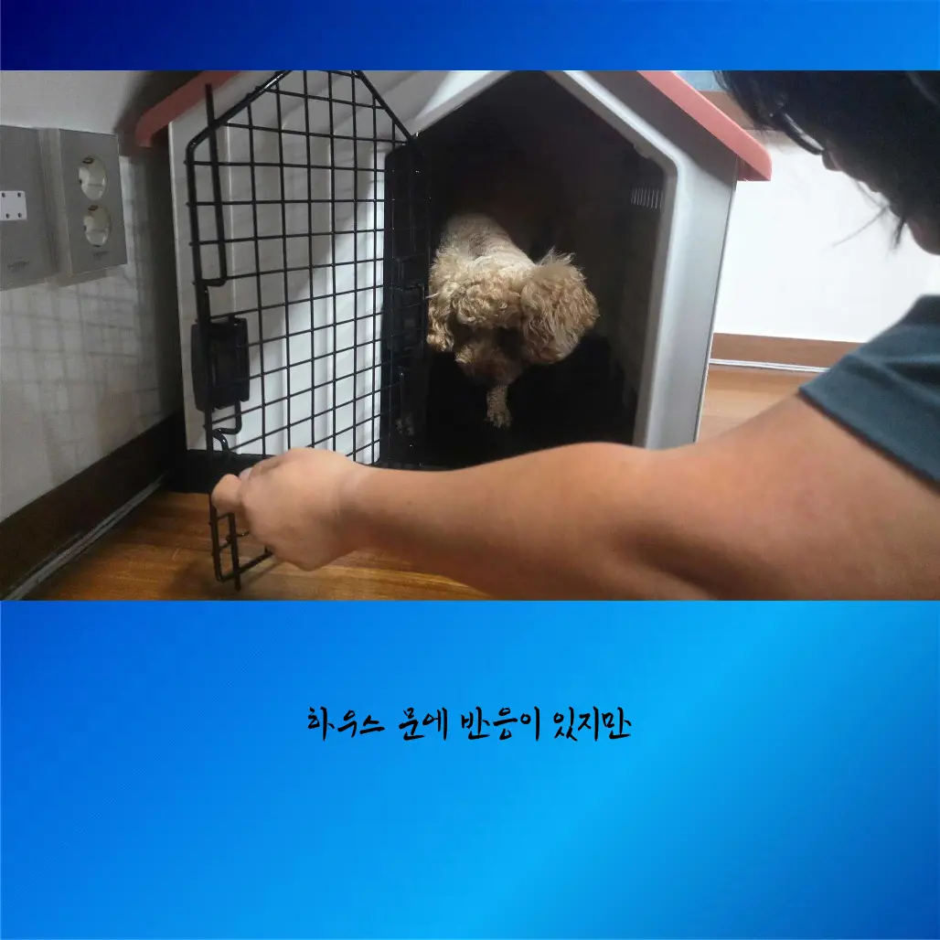 이미지 12