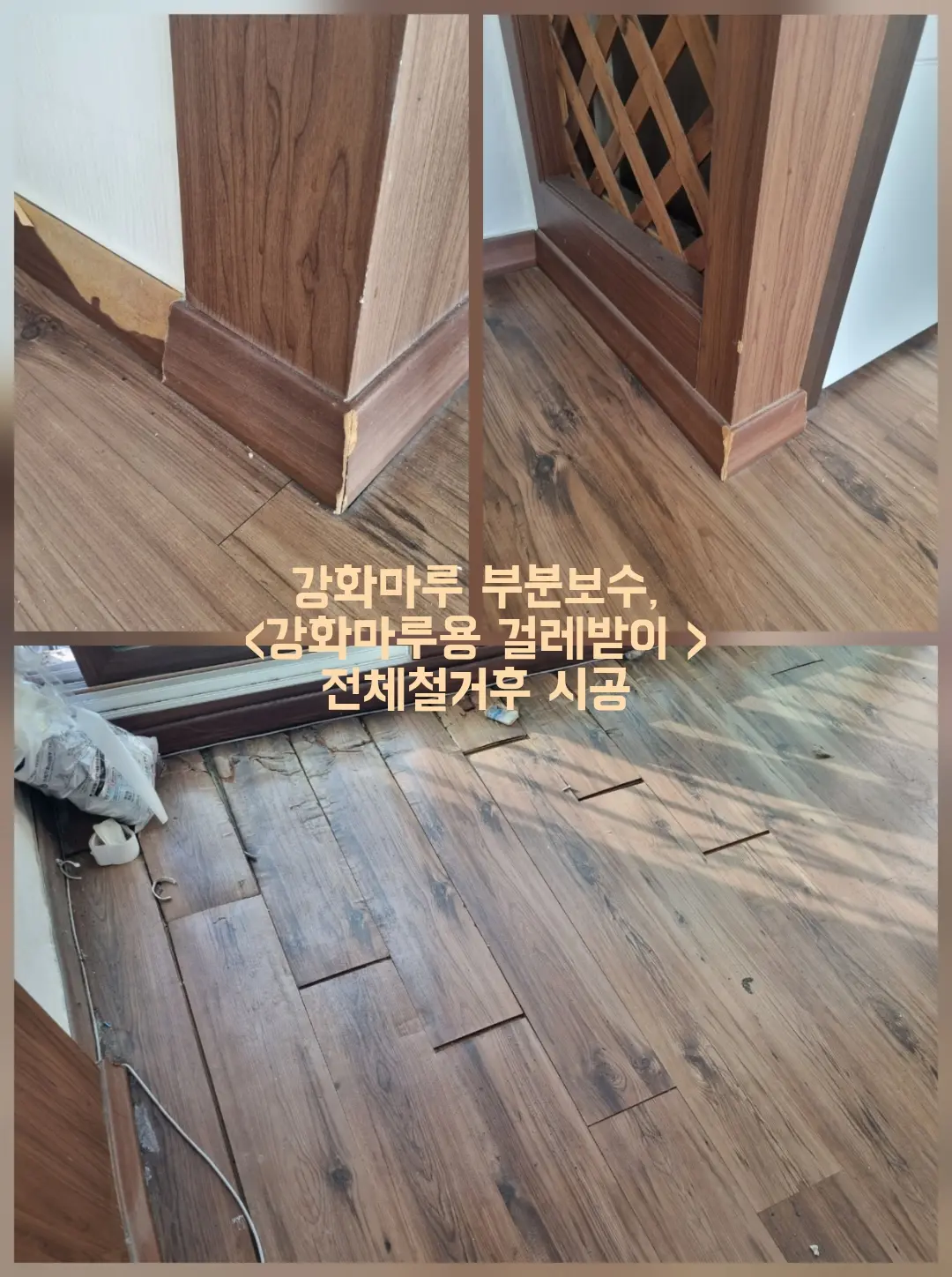 이미지 7