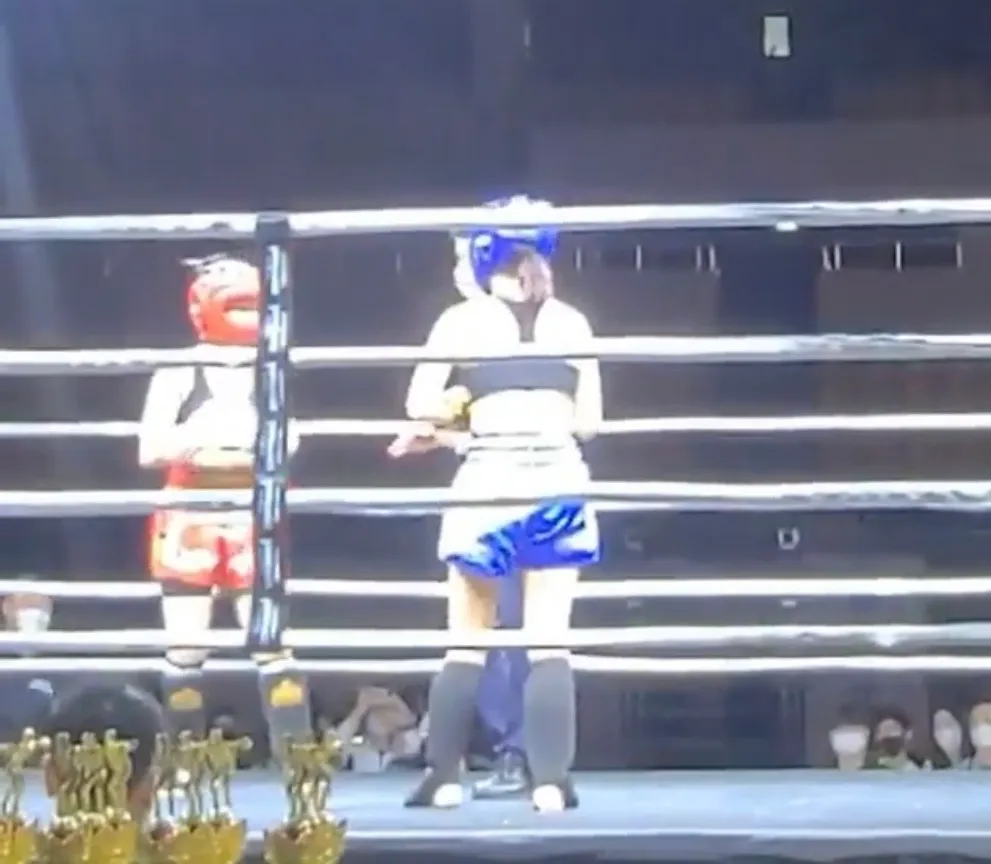 이미지 6