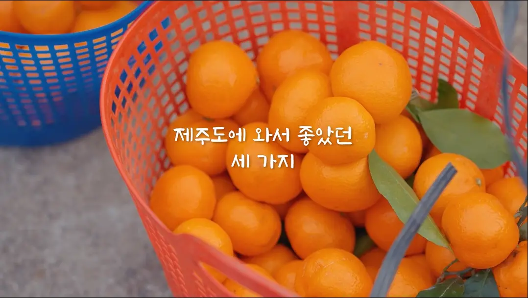 이미지 10
