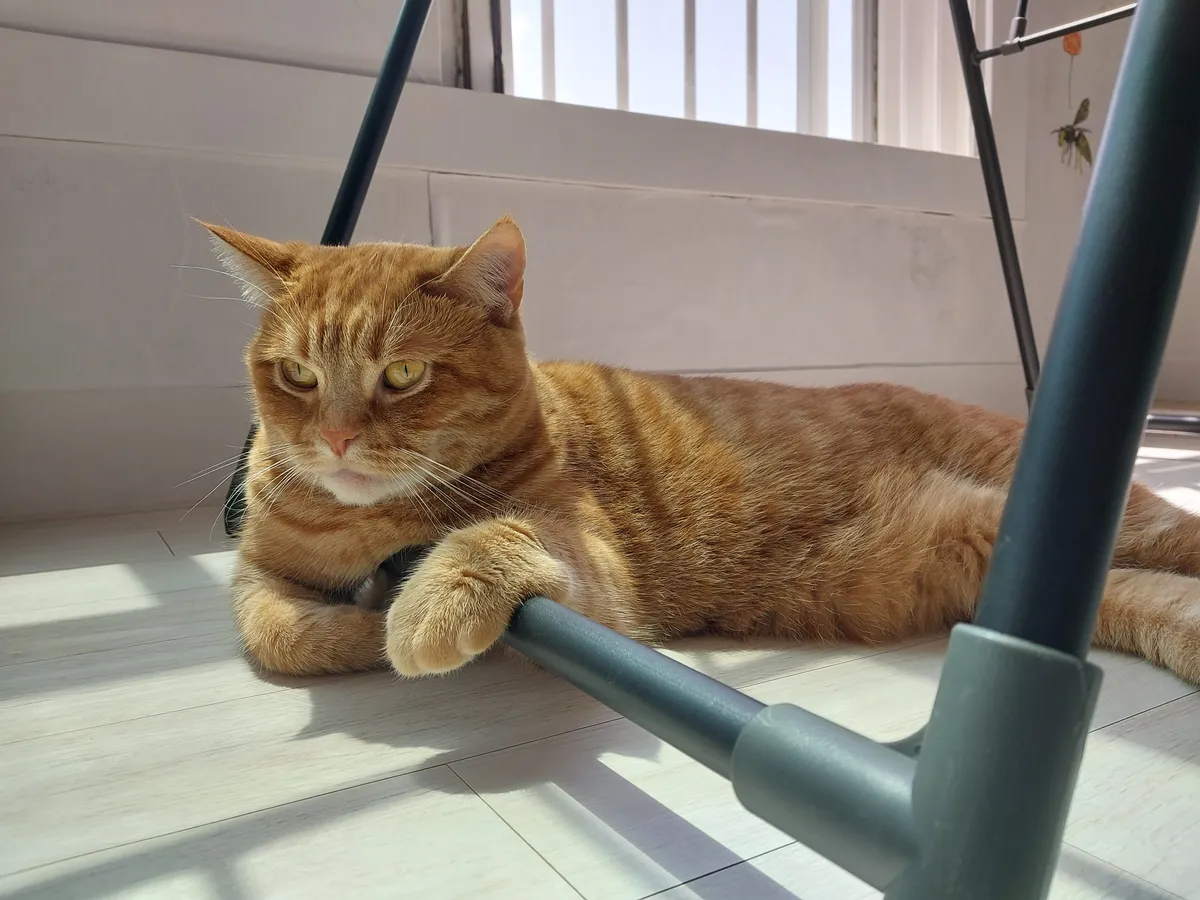 이미지 9