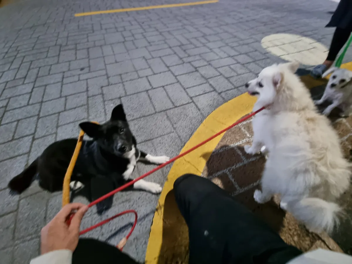 이미지 9