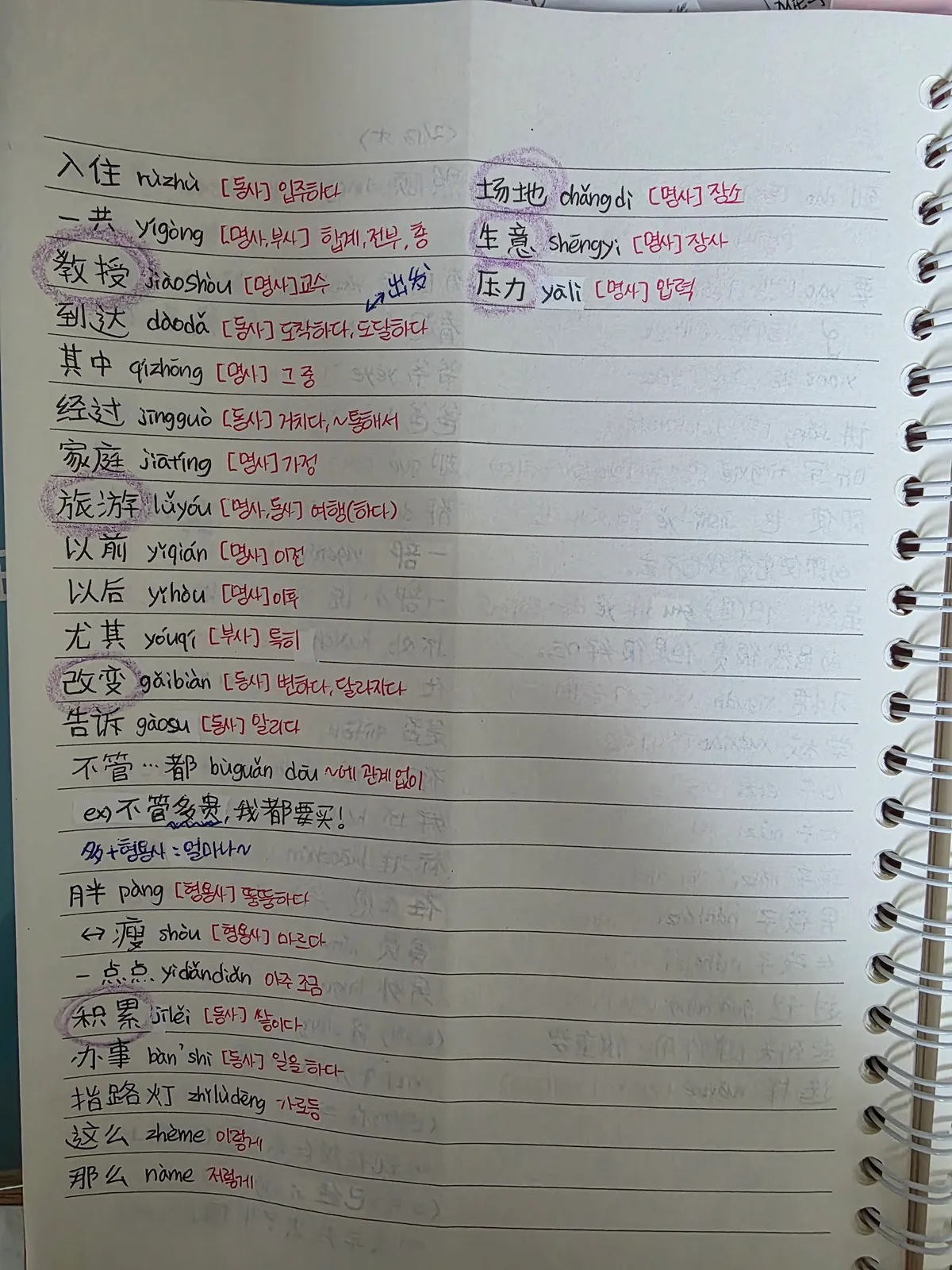 이미지 12