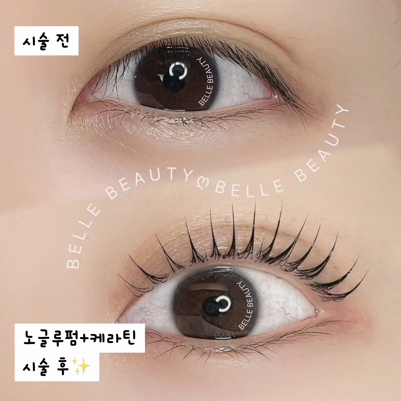 이미지 9