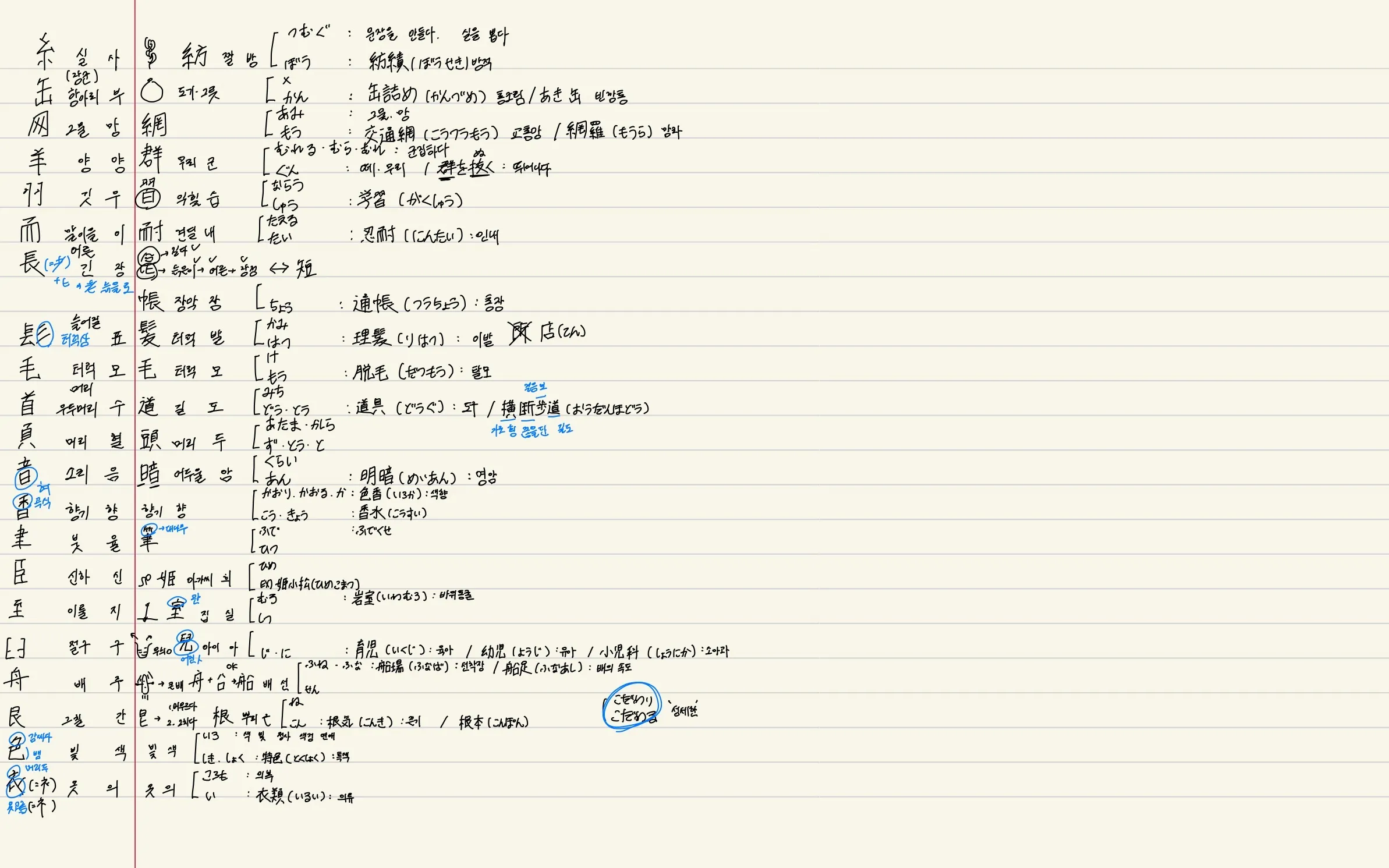 이미지 5