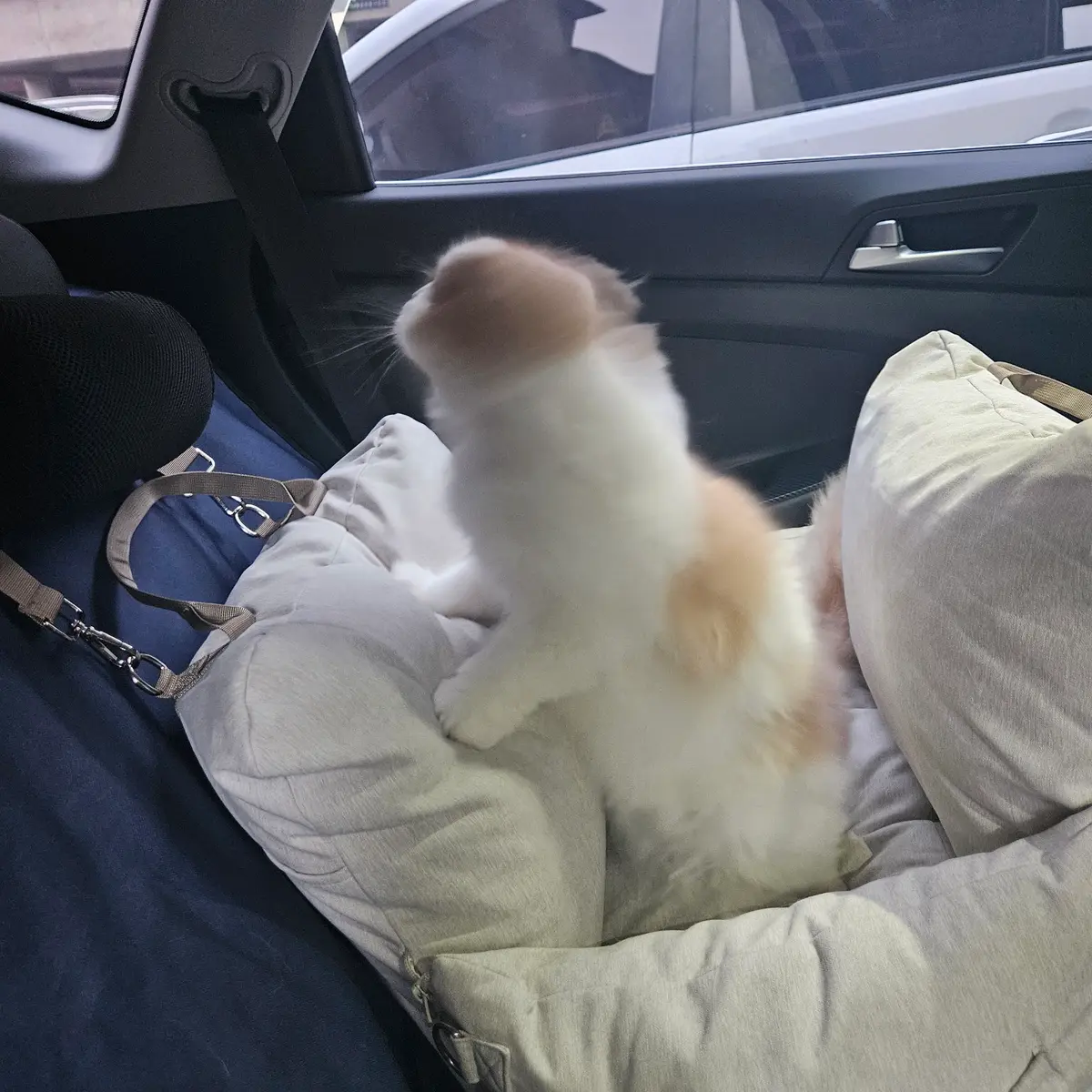 이미지 3