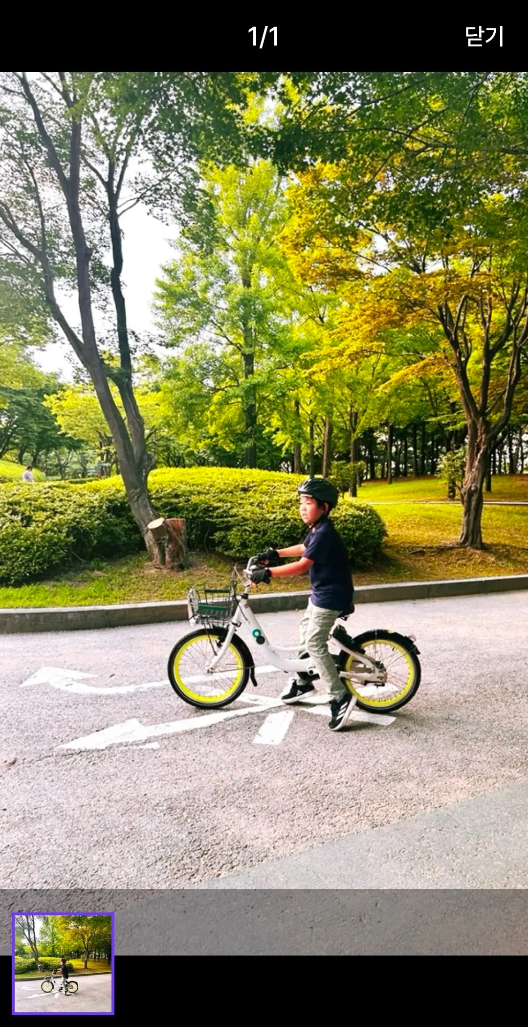 이미지 12