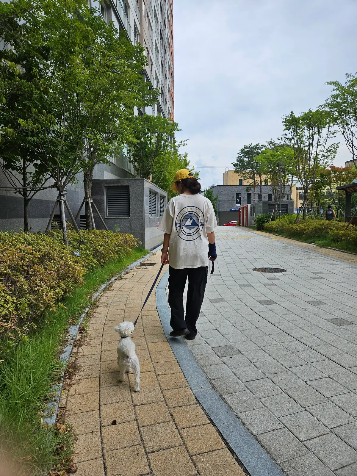 이미지 3