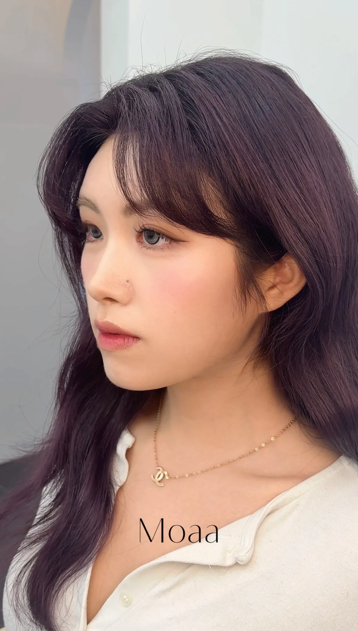 이미지 14