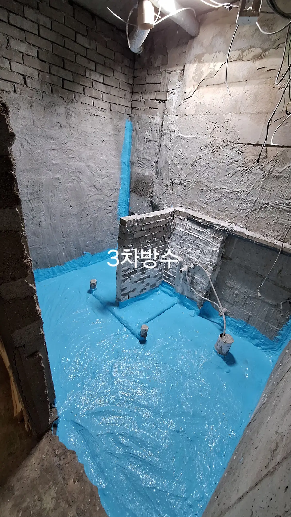 이미지 8