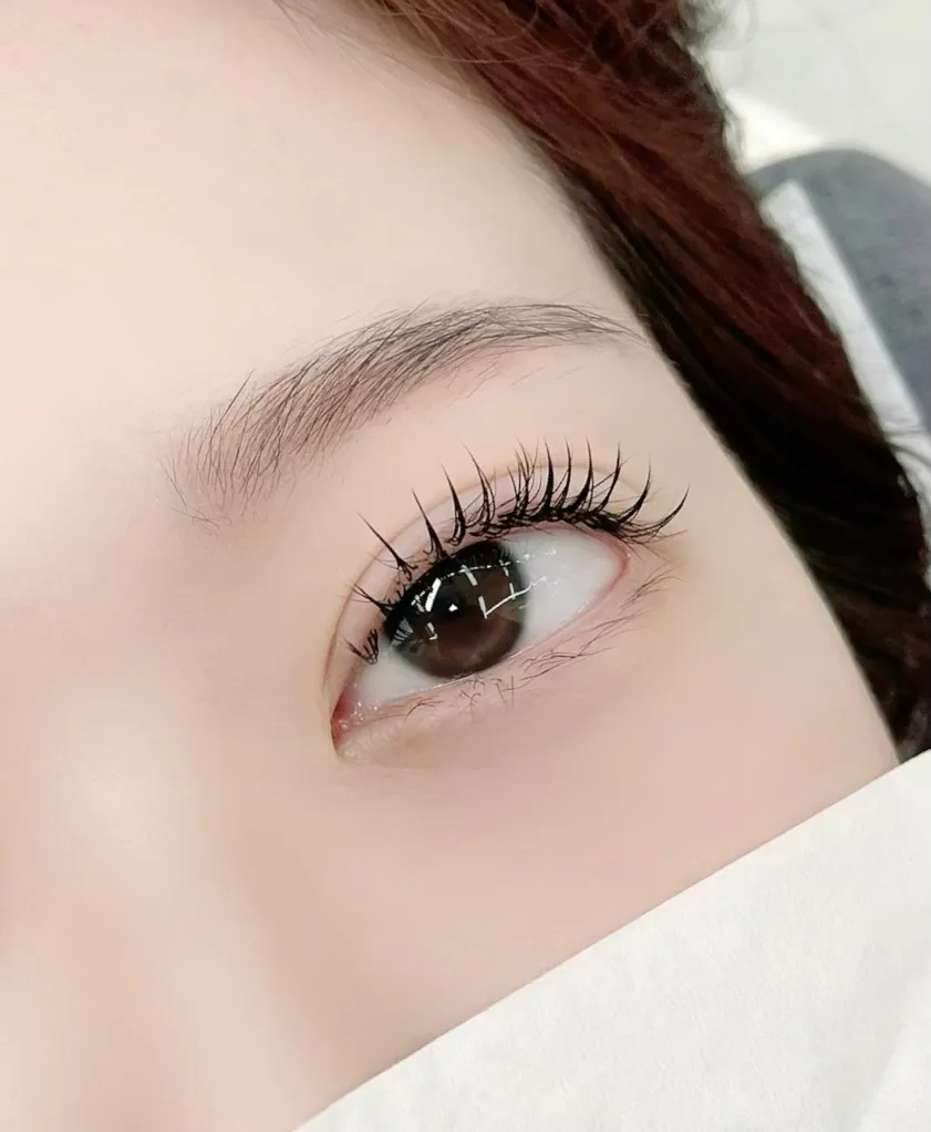 이미지 4