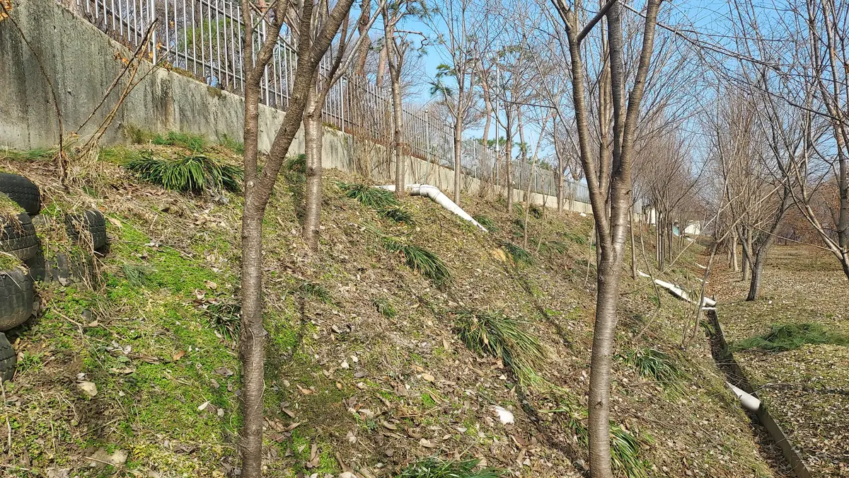 이미지 7