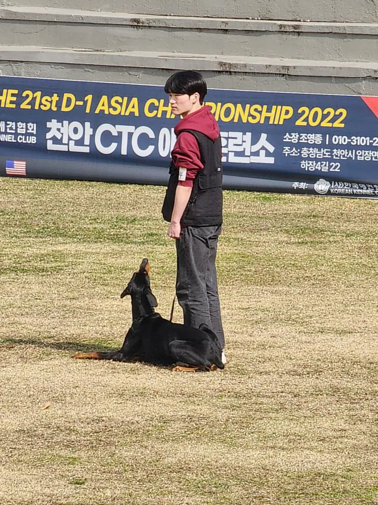 이미지 7