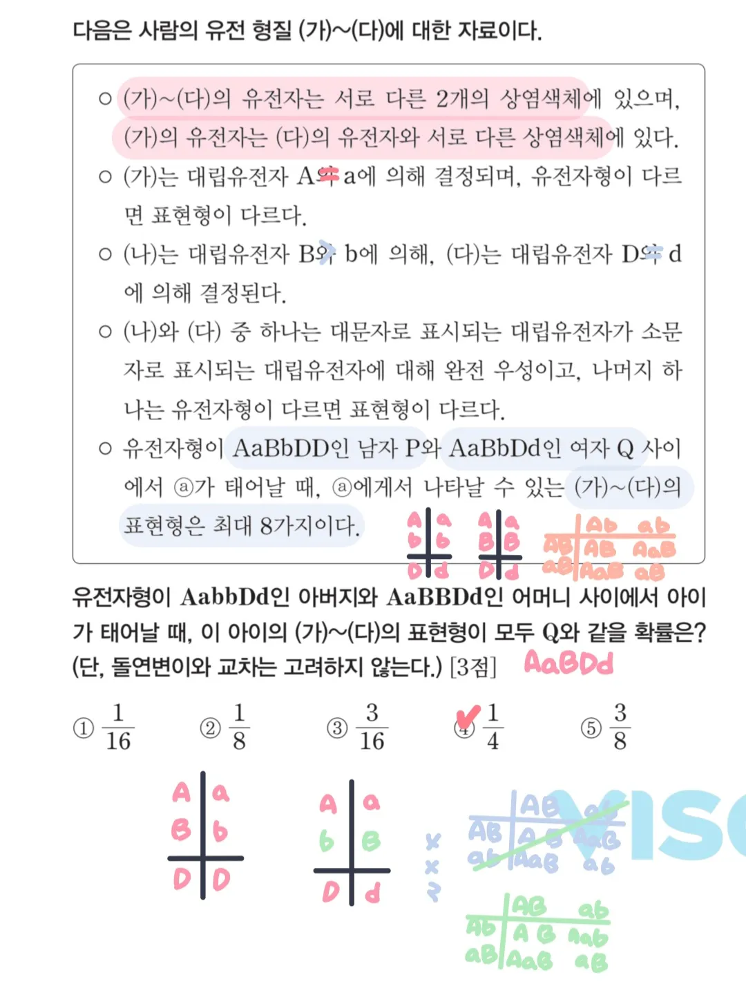 이미지 10