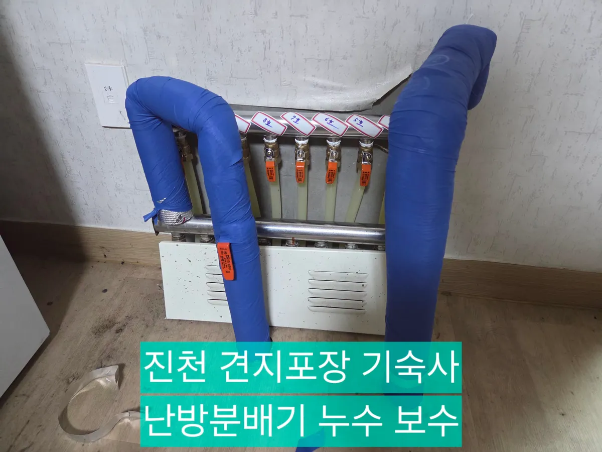 이미지 10
