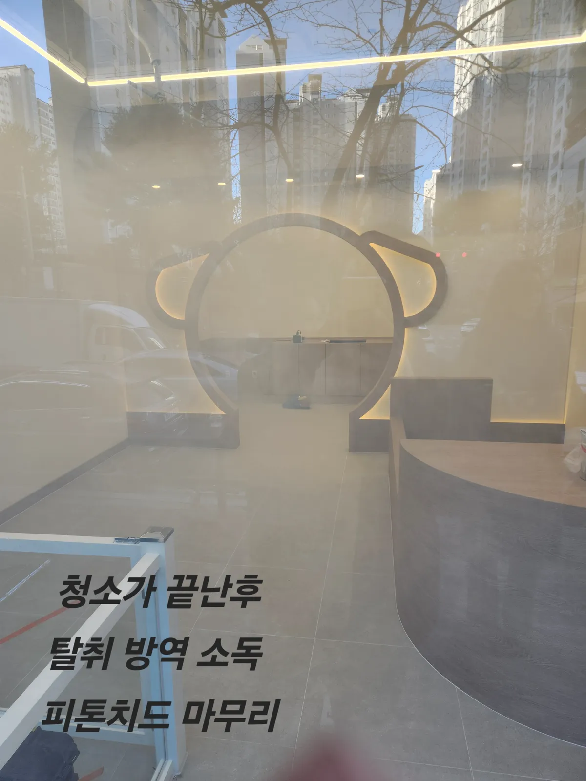 이미지 10