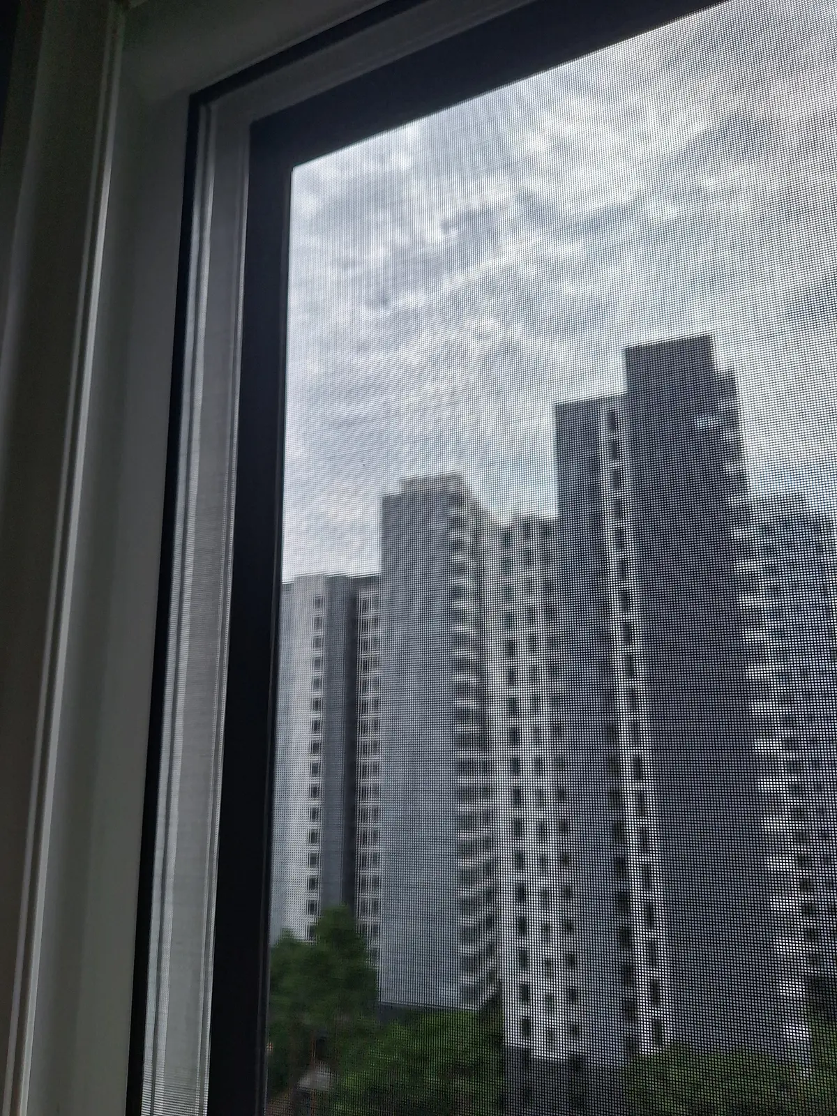 이미지 8