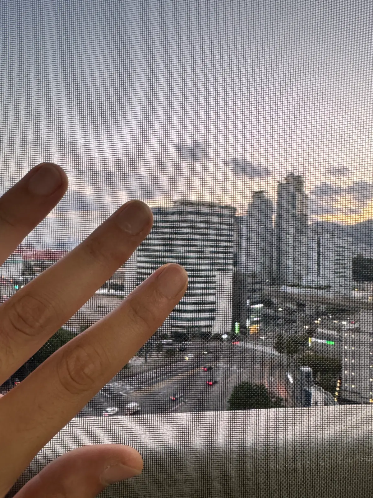 이미지 8