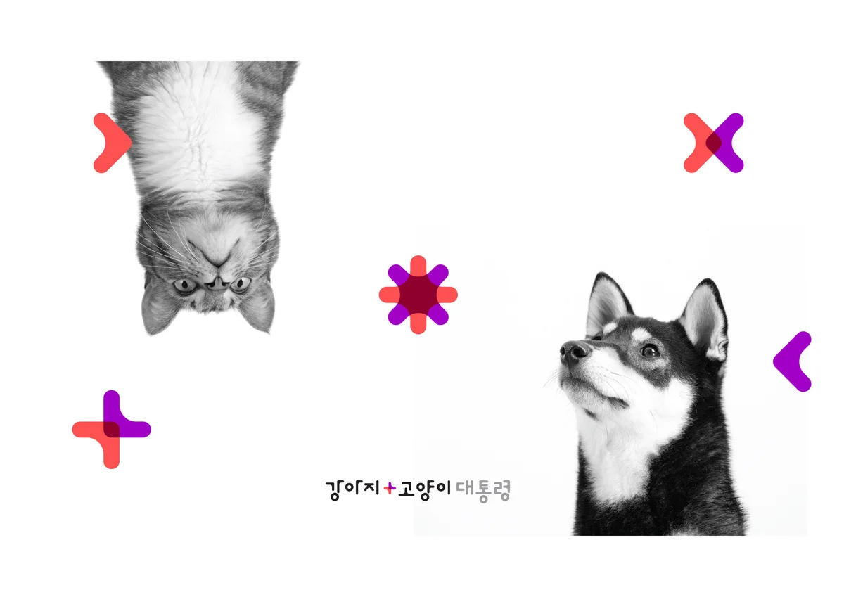 이미지 8
