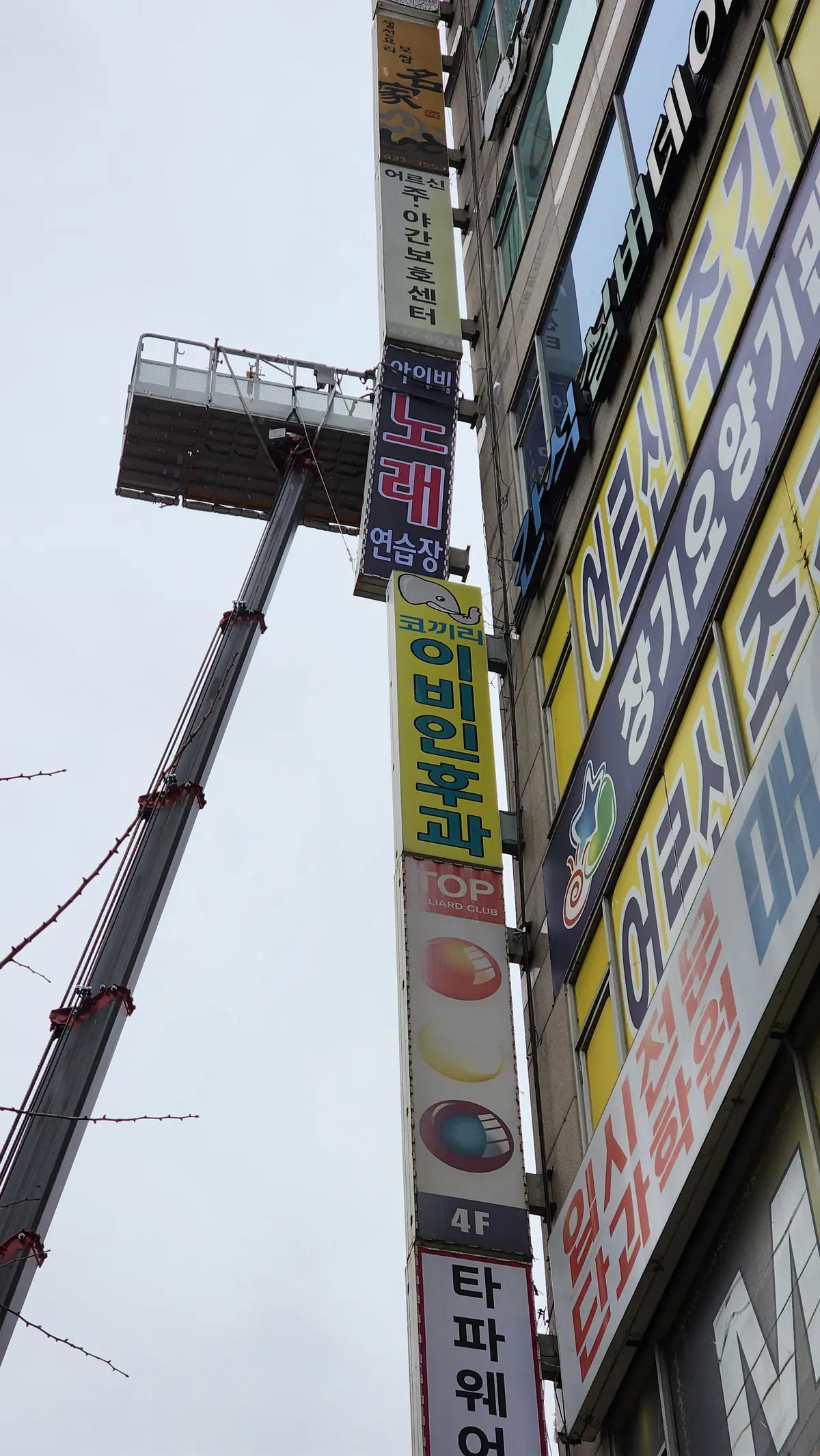 이미지 5