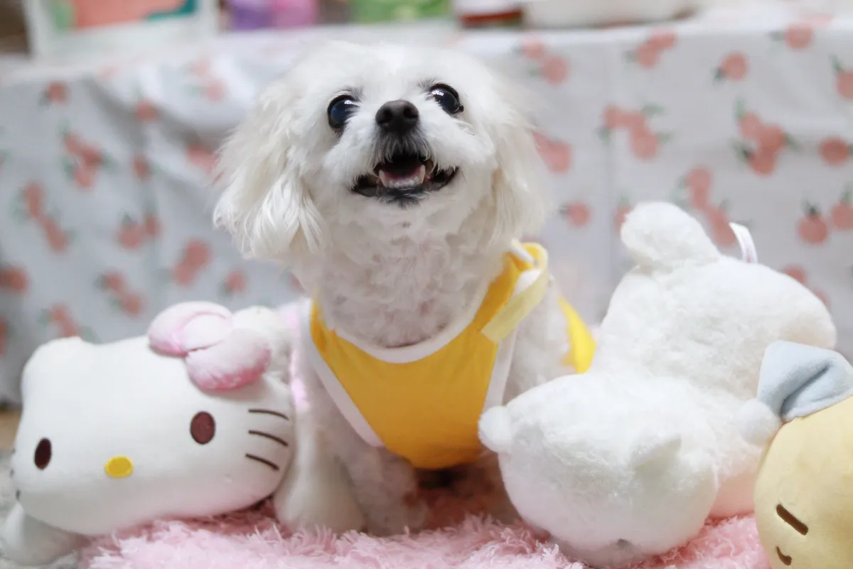 이미지 10