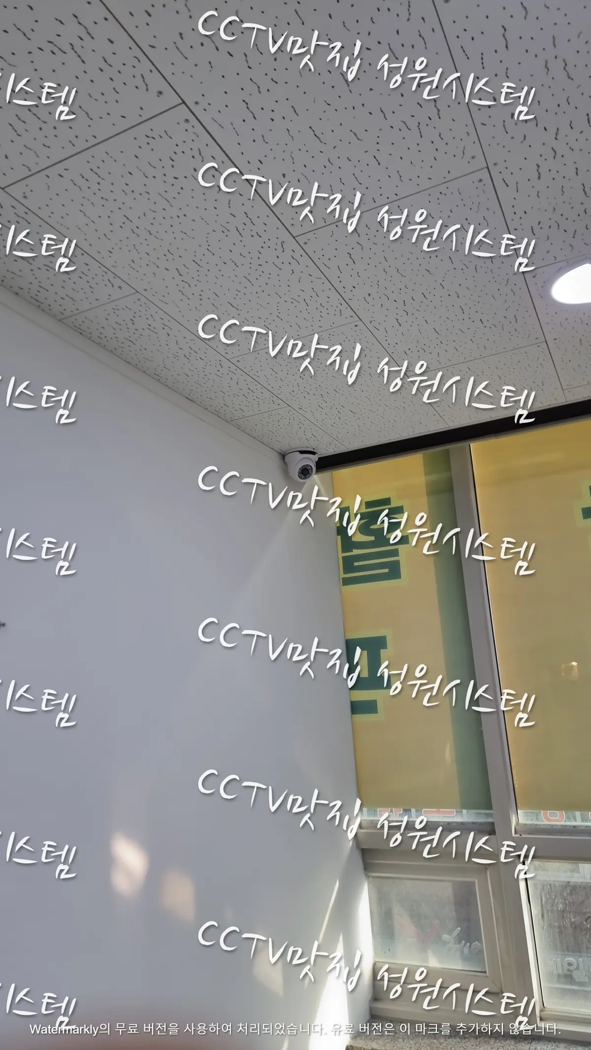 이미지 5