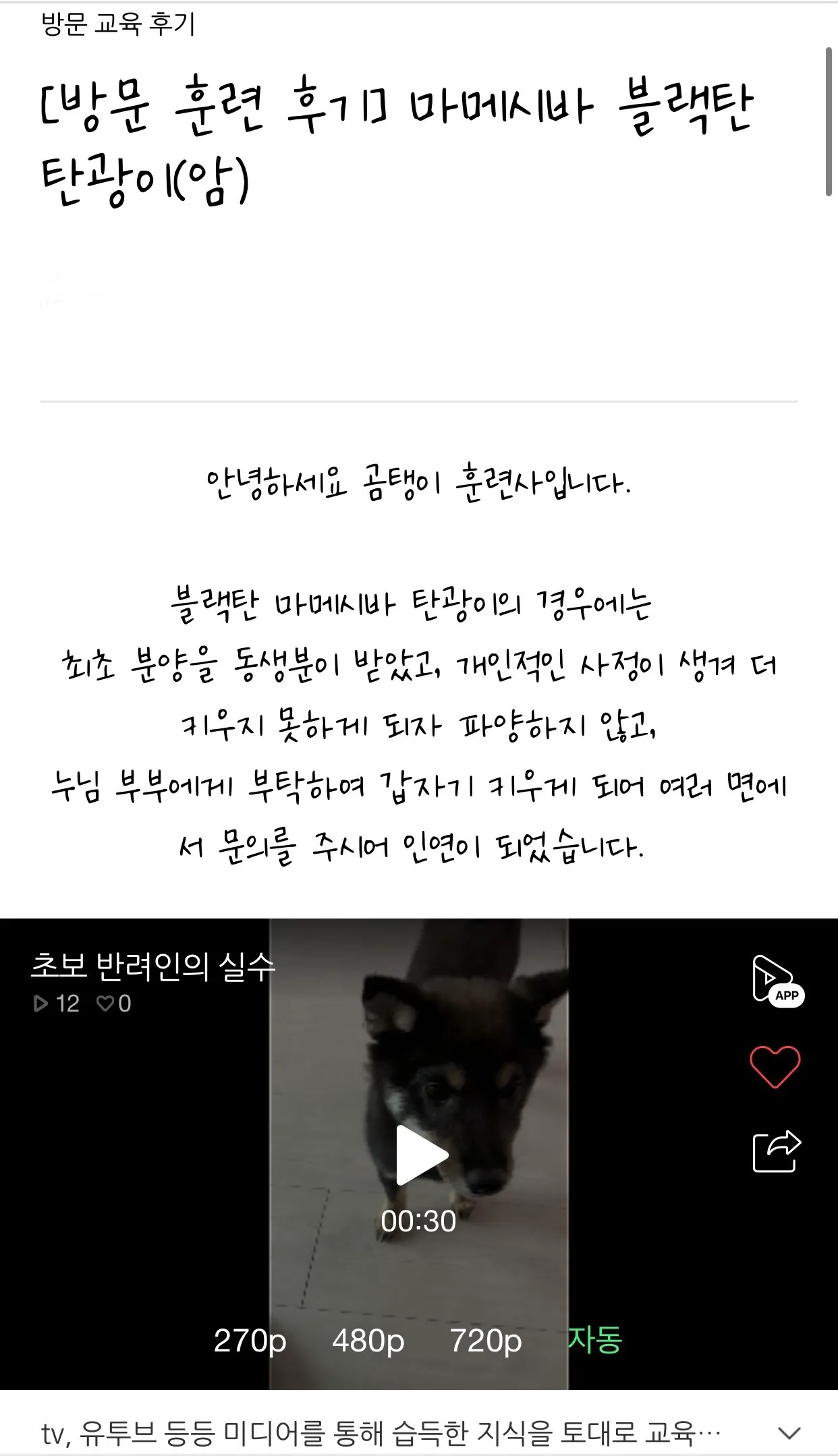 이미지 3
