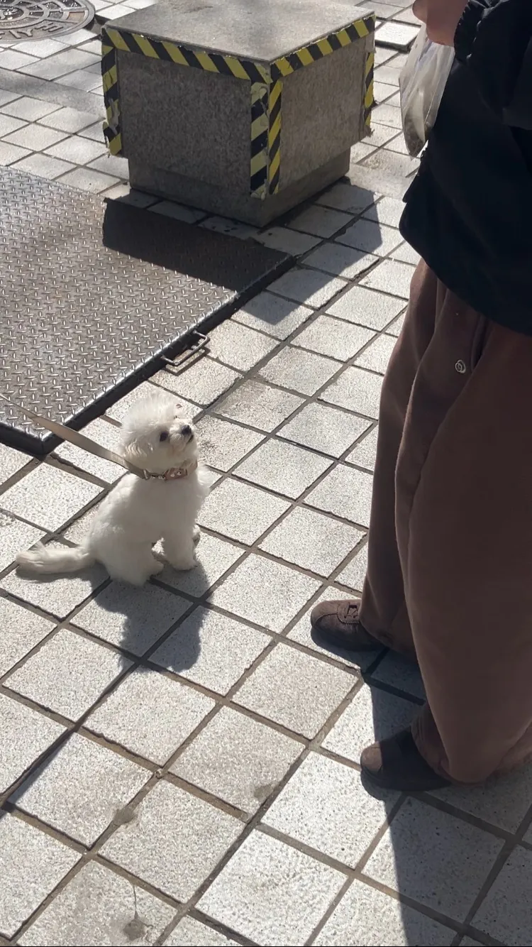 이미지 4