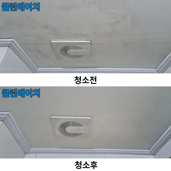 이미지 3