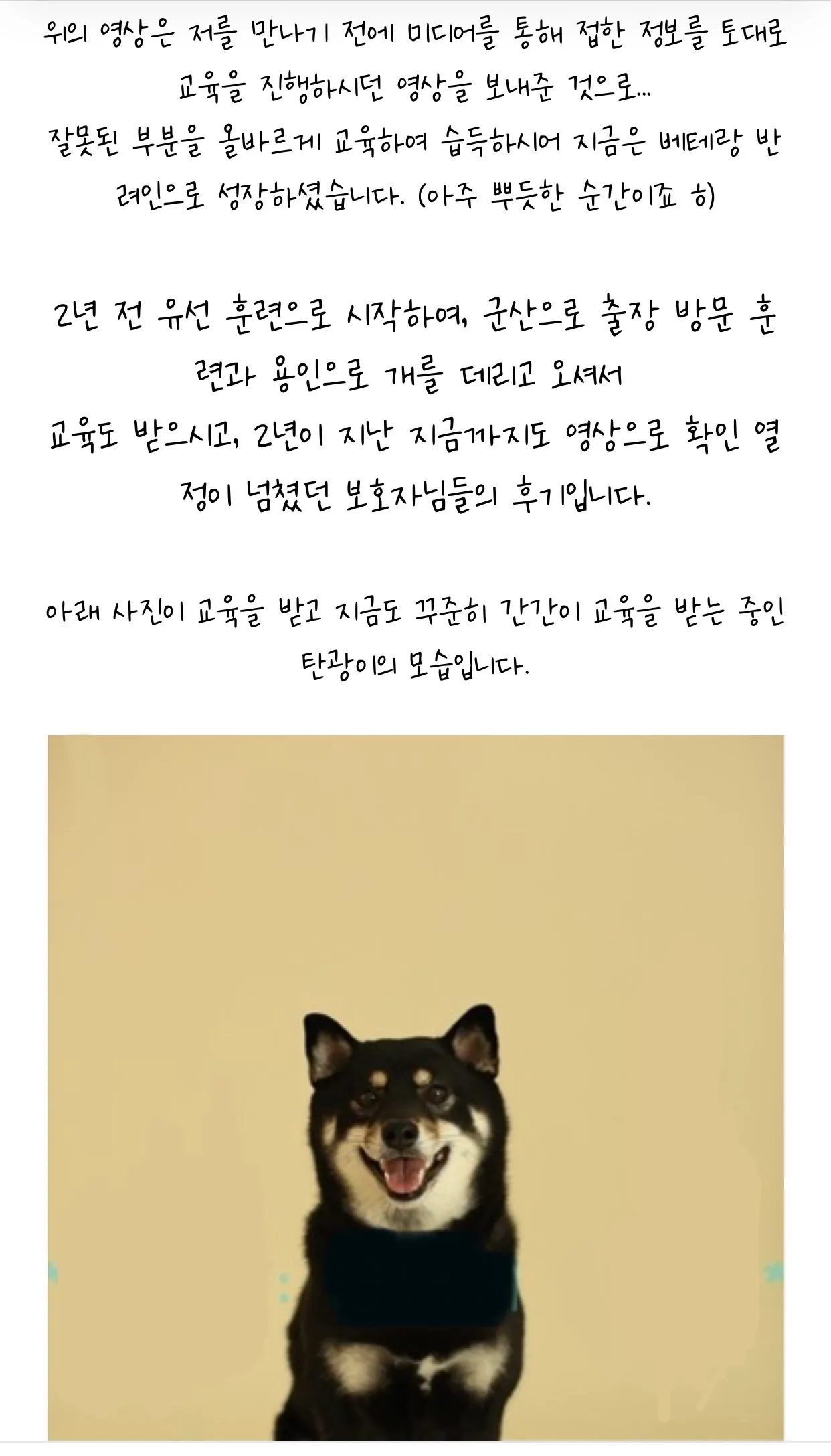 이미지 4