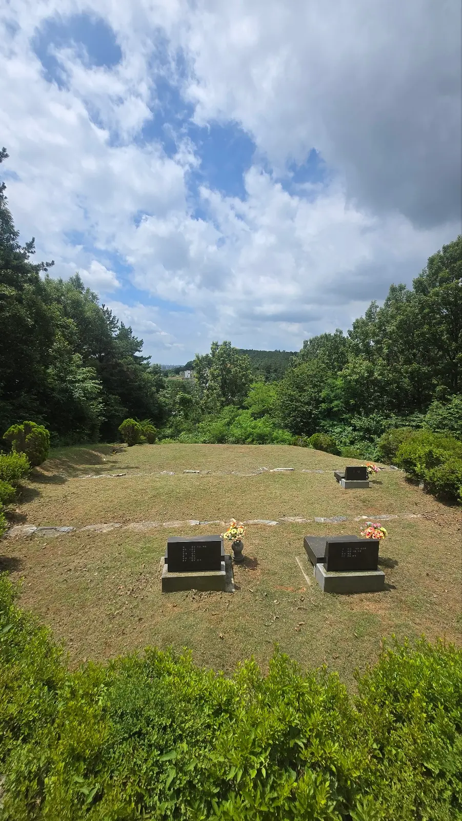 이미지 6