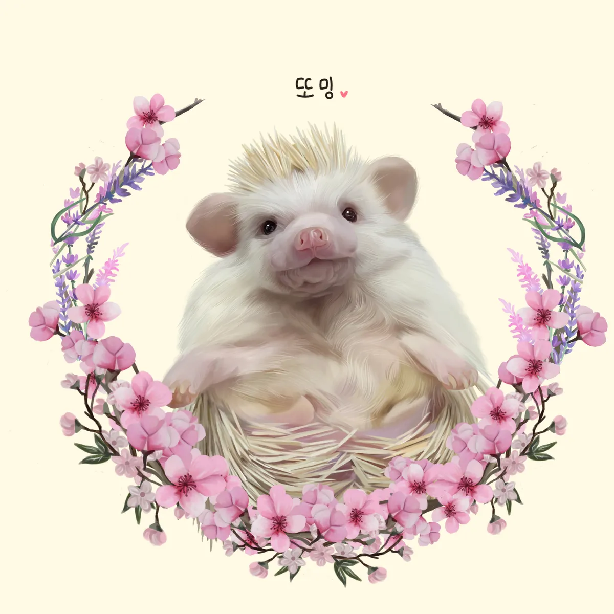 이미지 8