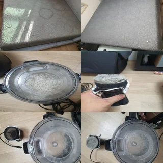 애완동물의 소변실수