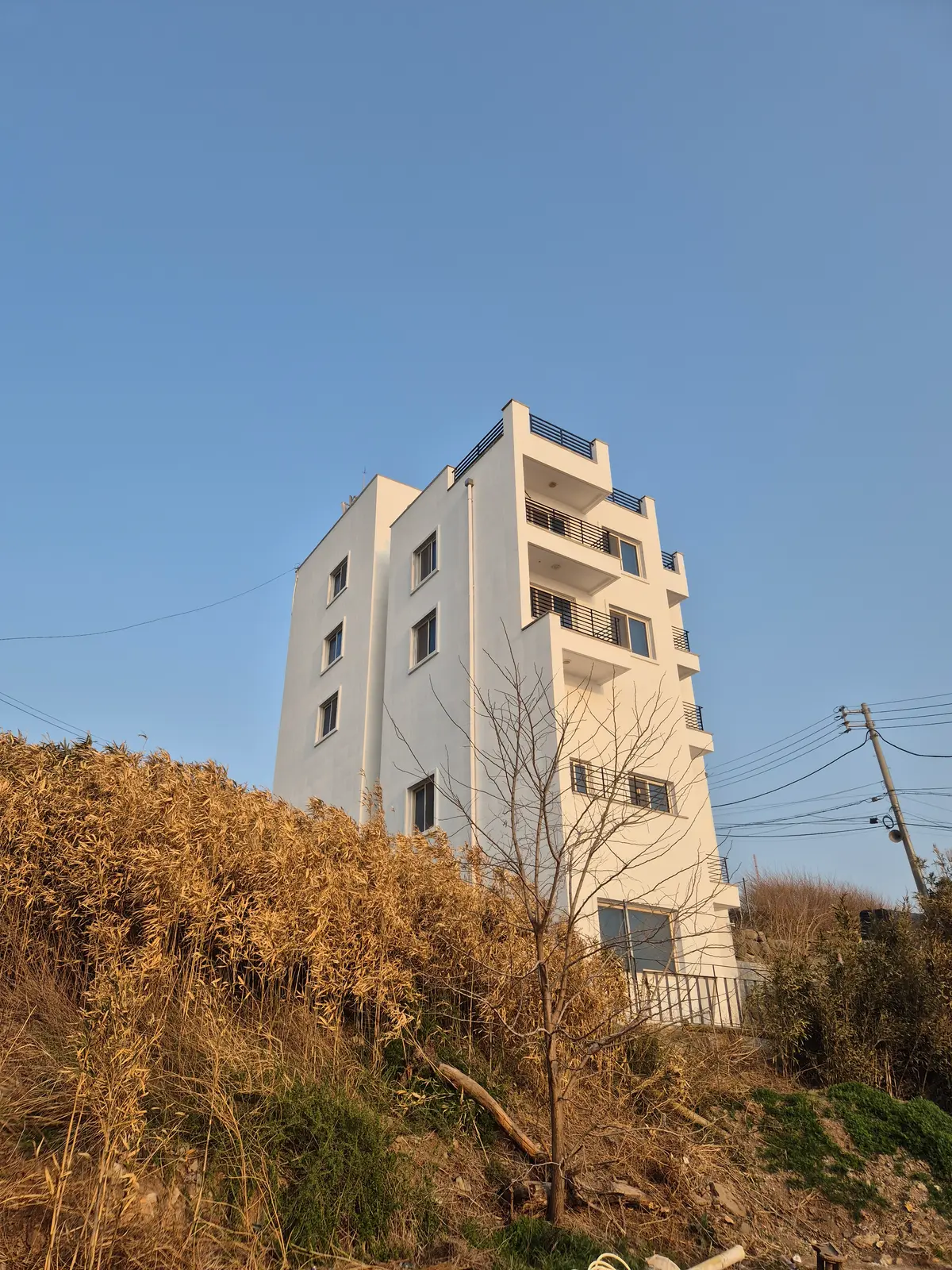 이미지 6