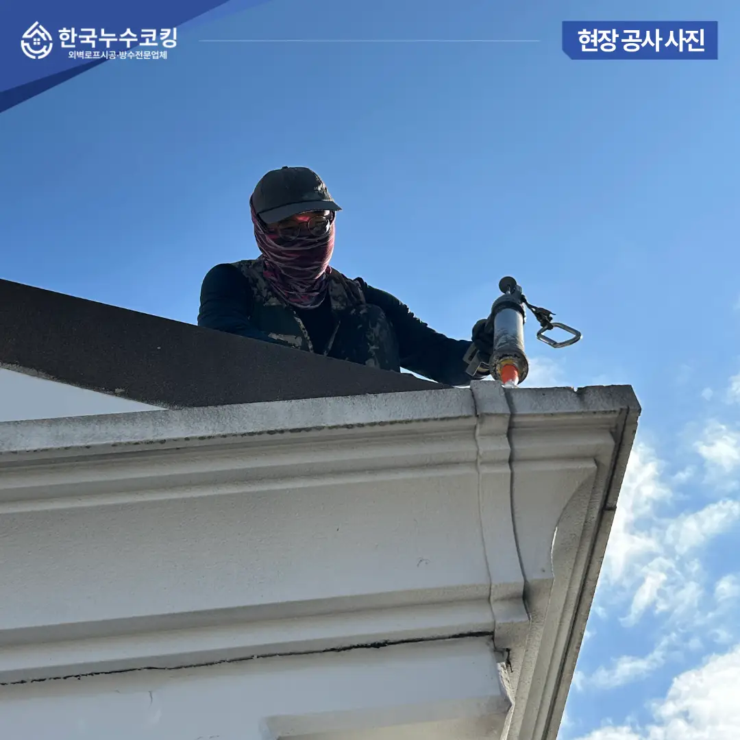 이미지 6