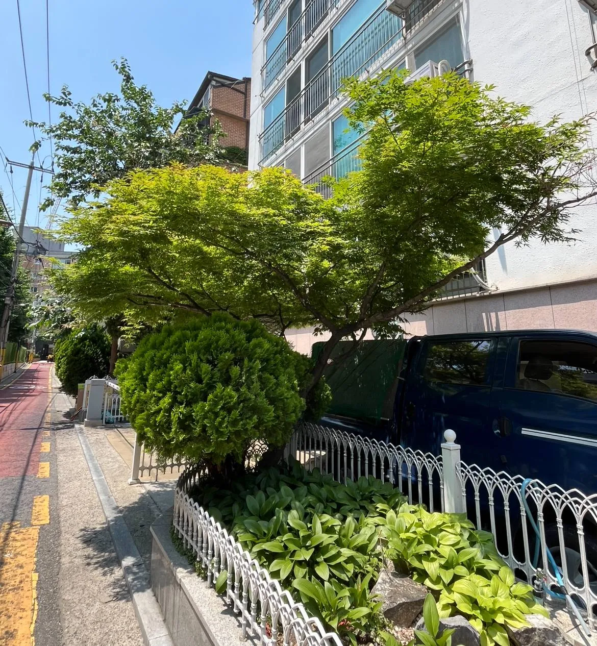 이미지 8