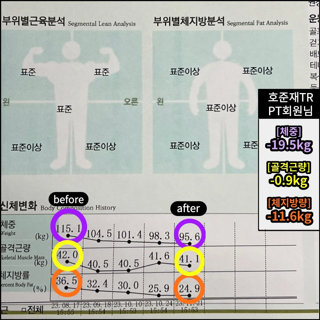 이미지 5