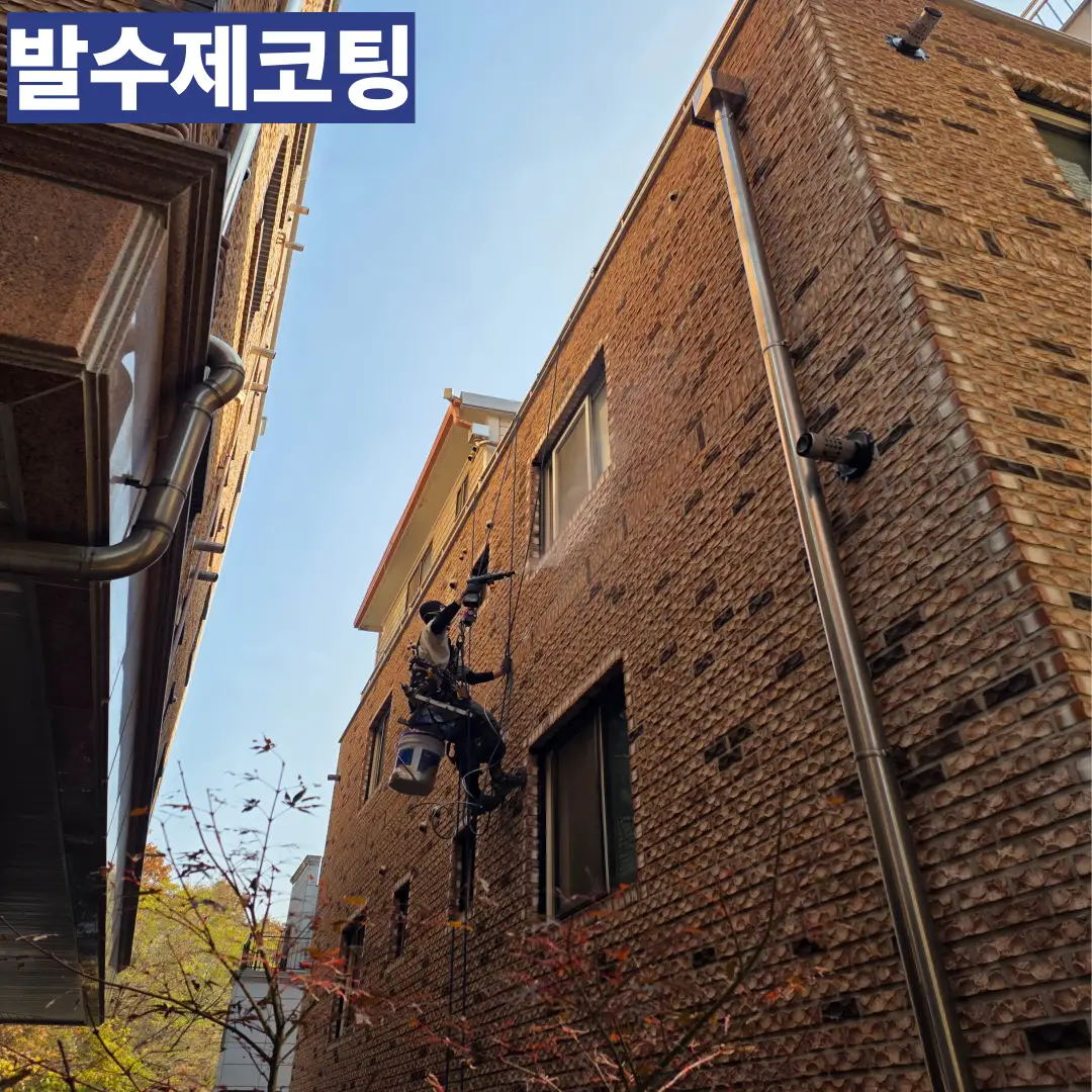 이미지 14