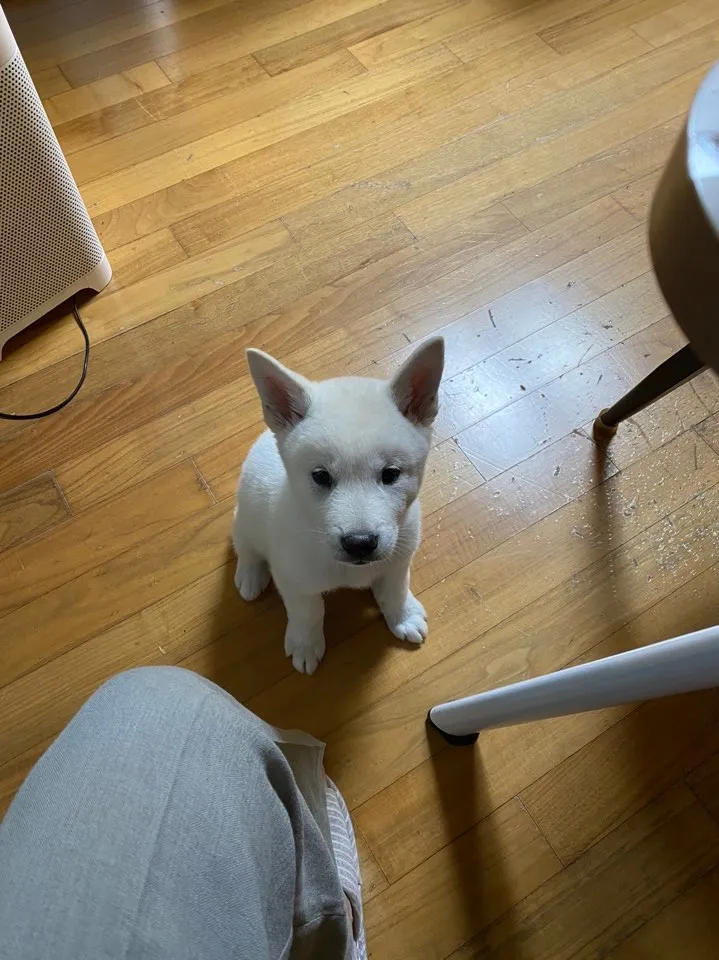 이미지 5