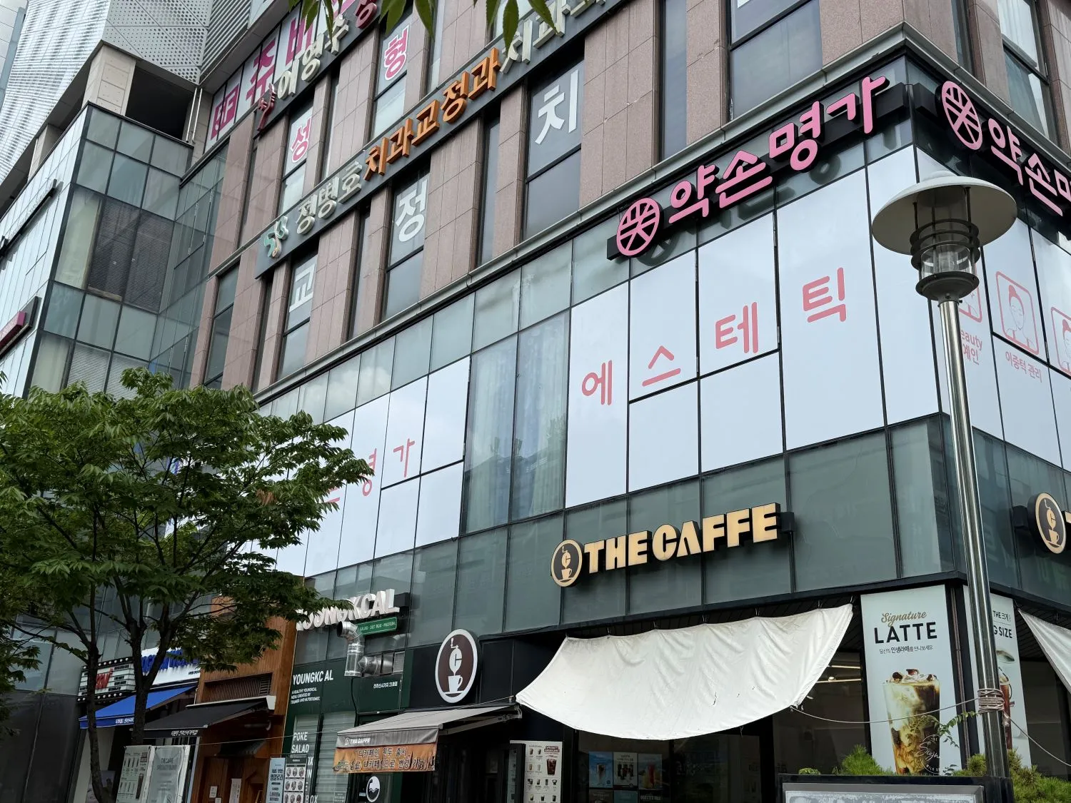 이미지 6